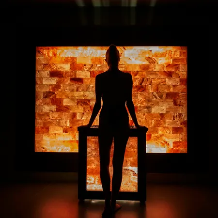 Savoy Palace - The Leading Of The World - Savoy Signature מלון פונשל