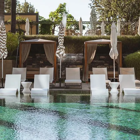 Savoy Palace - The Leading Of The World - Savoy Signature